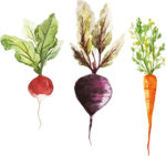 Home and Herbs