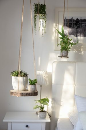 DIY-Holz-Pflanzenampel