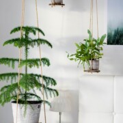 Hängeregale selbst basteln - Urban Jungl