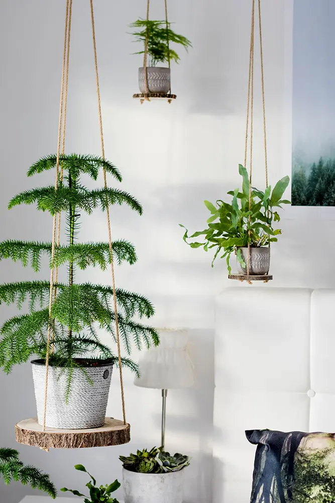 DIY Hängeregale - hole dir deinen Urban Jungle ins Haus