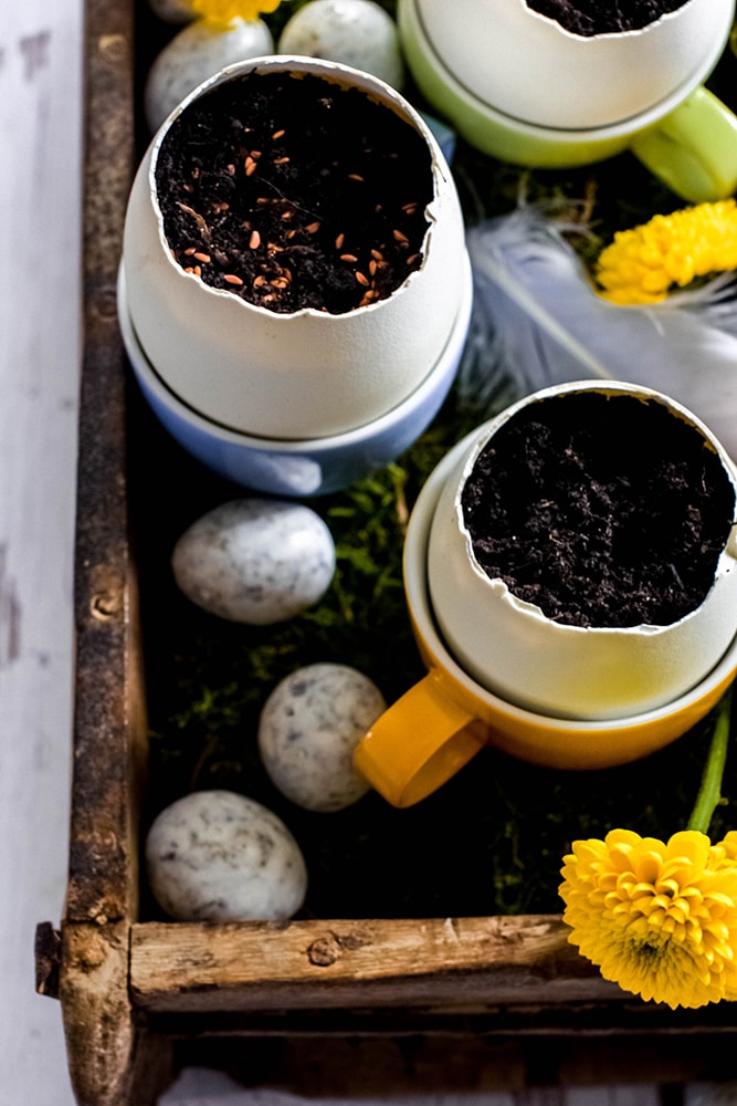 Kräutergarten in Eierschalen zum verschenken an Ostern