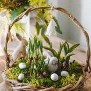 Zu Ostern einen Korb bepflanzen