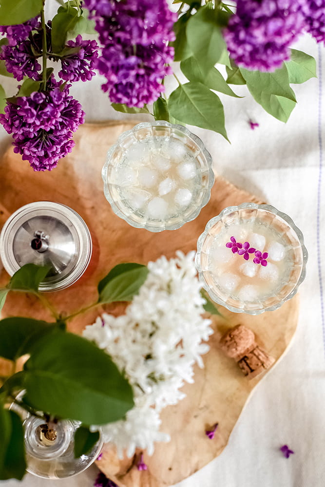 Flieder-Sirup