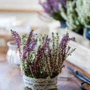 Do-It-yourself Windlicht