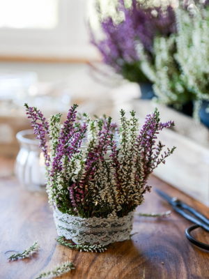 Do-It-yourself Windlicht