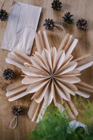 Butterbrottüten Weihnachtssterne: Ein Einfaches DIY Für Schöne ...