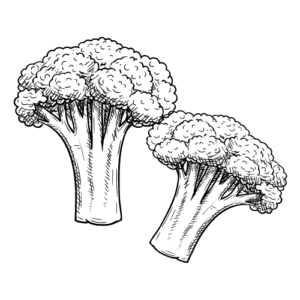 Brokkoli