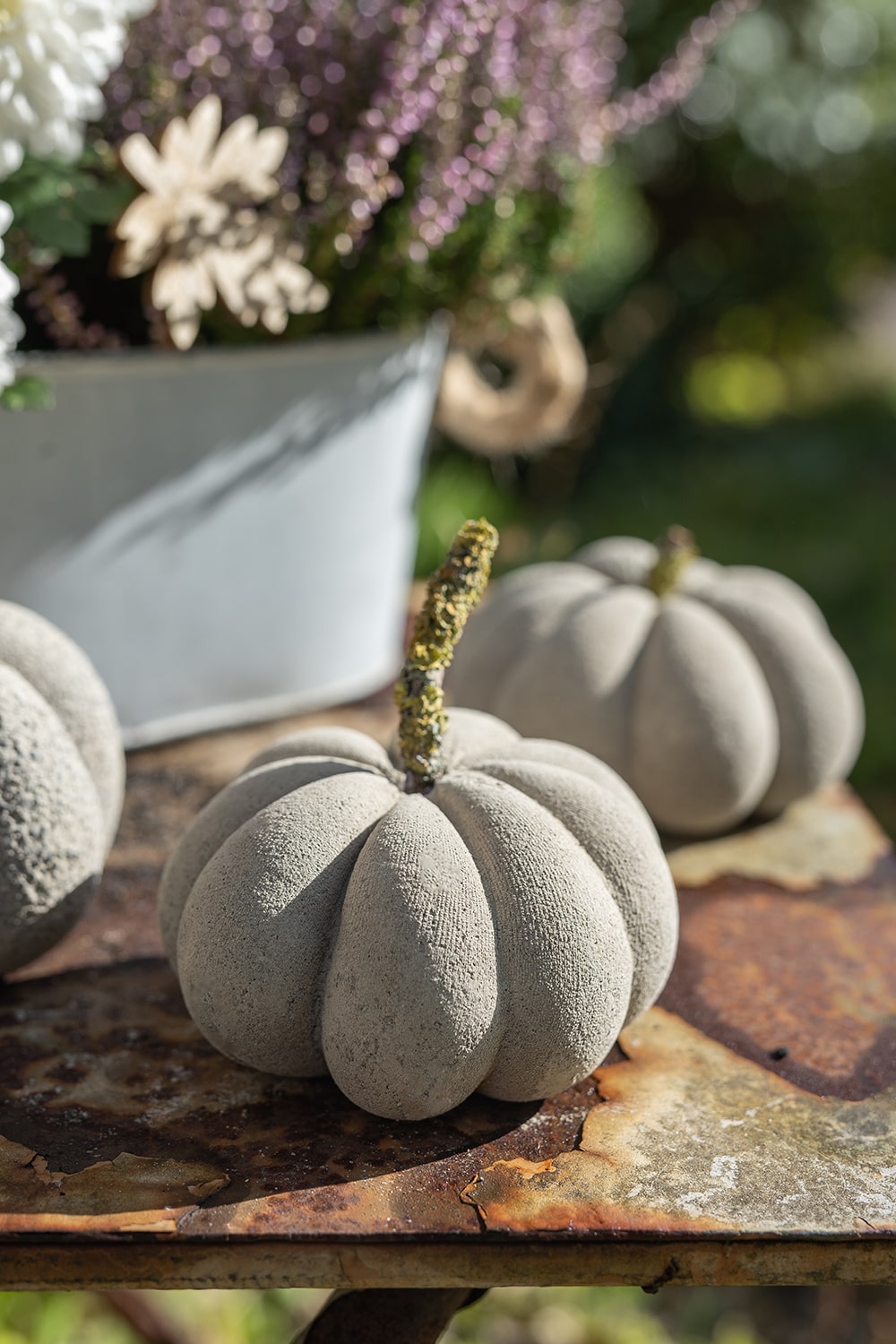 Betonkürbisse mit strukturierter Oberfläche und Zweigstielen stehen auf einem rostigen Metalltisch im Freien und bieten eine charmante Bastelidee für herbstdeko basteln, mit einem verschwommenen Pflanzgefäß mit Blumen und Laub im Hintergrund.